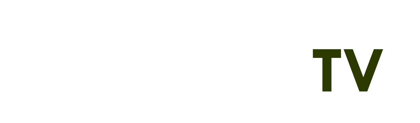 91 phút